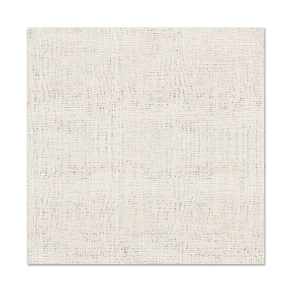 Napkins-Lunch (Multiple Designs Available)