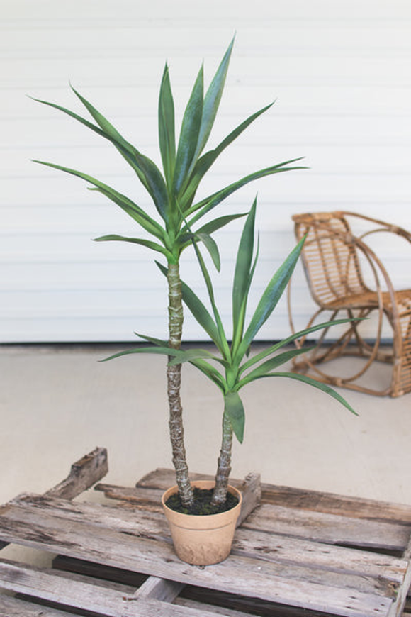 Artificial Heneken Plant With Faux Terracotta Pot  Multi