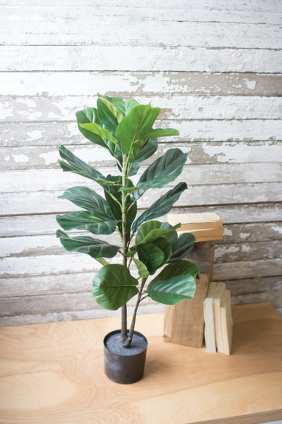 Artificial Potted Fiddle Leaf Fig  Multi