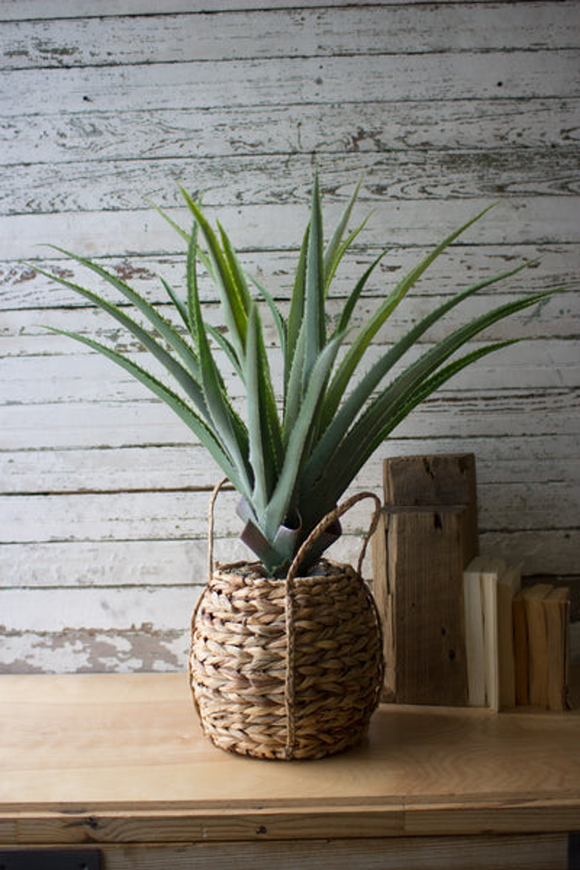 Artificial Aloe In A Woven Seagrass Pot  Multi