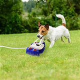 Dog Water Fountain Multifunctional Automatic Pet Water Dispenser Outdoor Step-on Activated Sprinkler for Drinking Shower Fun