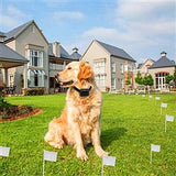 Electric Dog Fence System Pet Tone Shock Boundary Containment Water Resistant Collar Receiver For Small Medium Large Dog