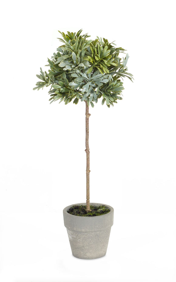 Potted Herb (Set of 2) 11