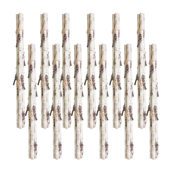 Birch Branch Bundle (Set of 12) 26.75