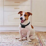 Electric Dog Fence System Pet Tone Shock Boundary Containment Water Resistant Collar Receiver For Small Medium Large Dog