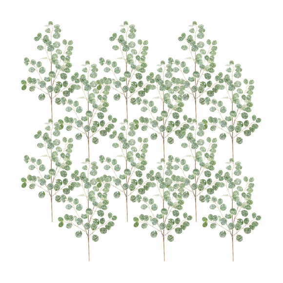 Silver Dollar Spray 32