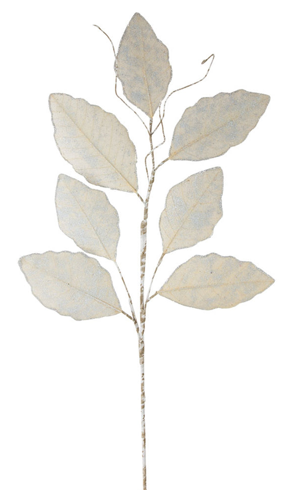 Magnolia Leaf Spray 31.5