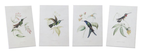 Hummingbird Print (Set of 4) 5.5