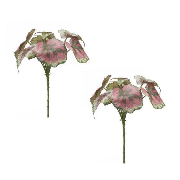 Begonia Leaf (Set of 2) 11.5