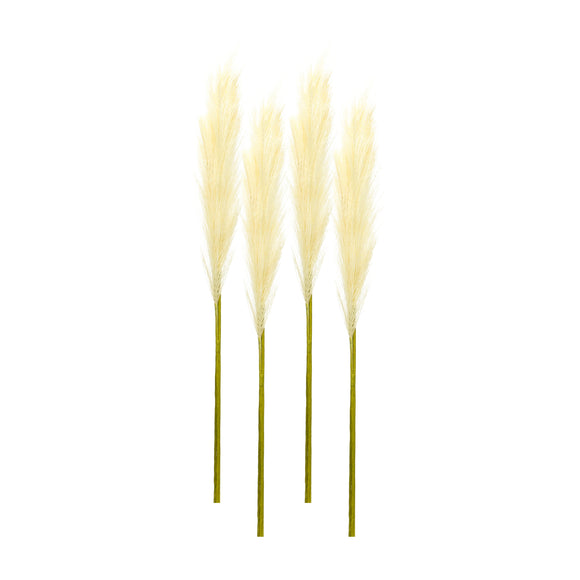 Pampas Spray (Set of 4) 30