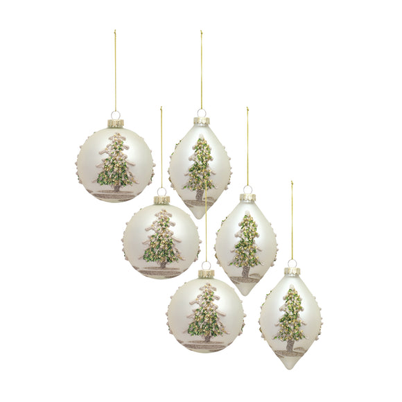 Ornament (Set of 6) 5