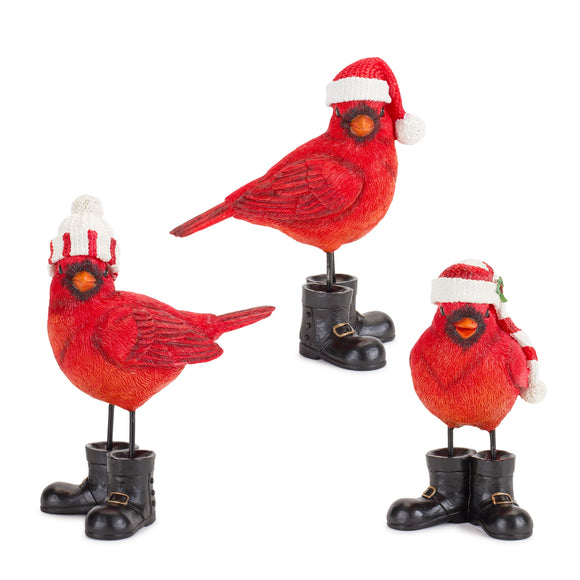 Cardinal (Set of 3) 5.5
