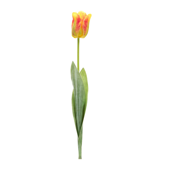 Tulip Stem (Set of 6) 27