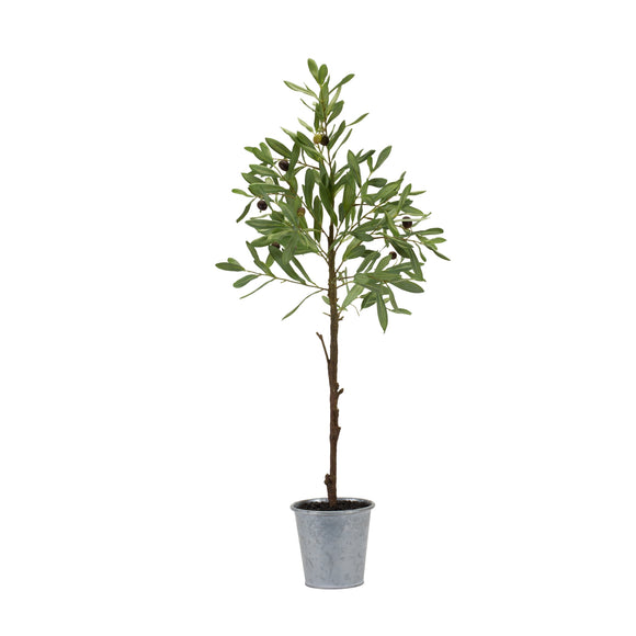 Potted Olive Tree 31.5