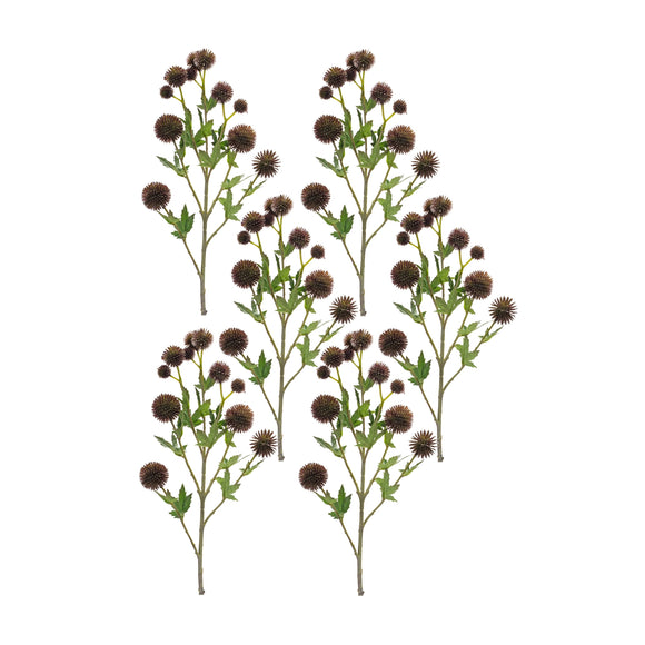Allium Spray (Set of 6) 26