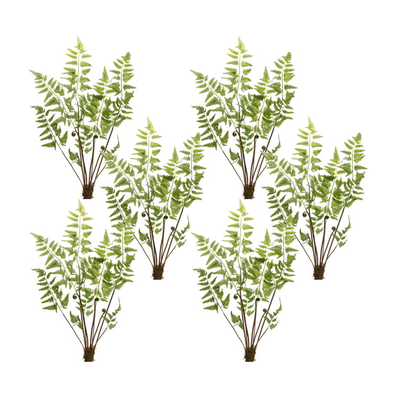 Fern Bundle (Set of 6) 37