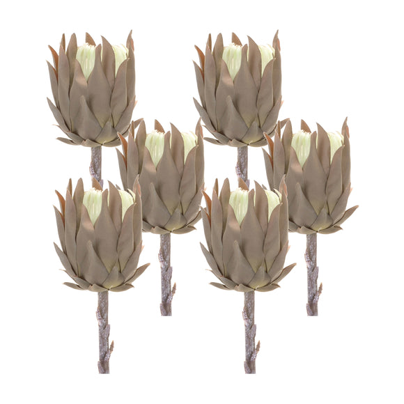 Protea Stem (Set of 6) 20