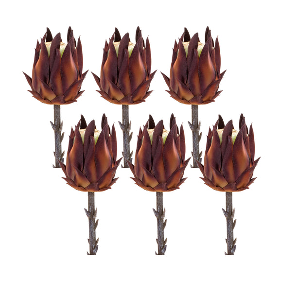 Protea Stem (Set of 6) 20