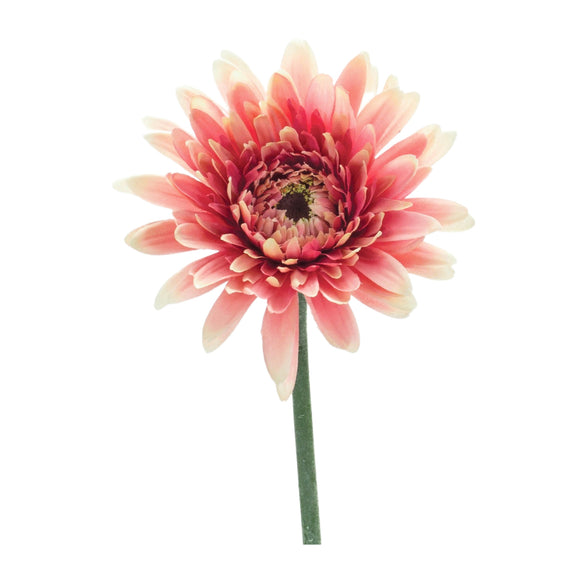 Gerbera Daisy Stem (Set of 6) 22