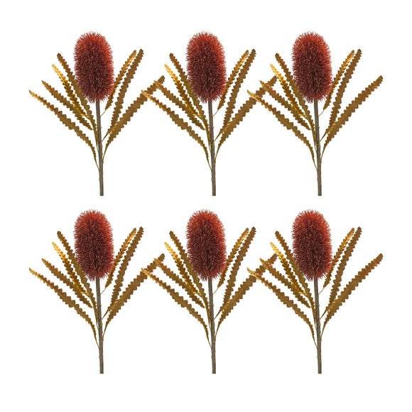 Banksia Stem (Set of 6) 24