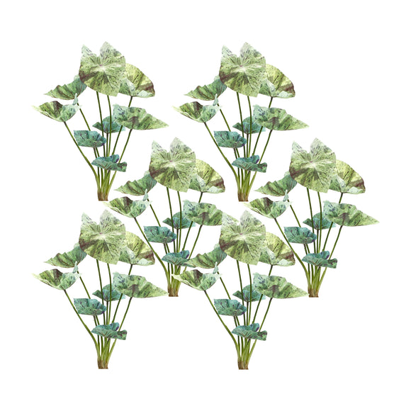 Caladium Bush (Set of 6) 18.5