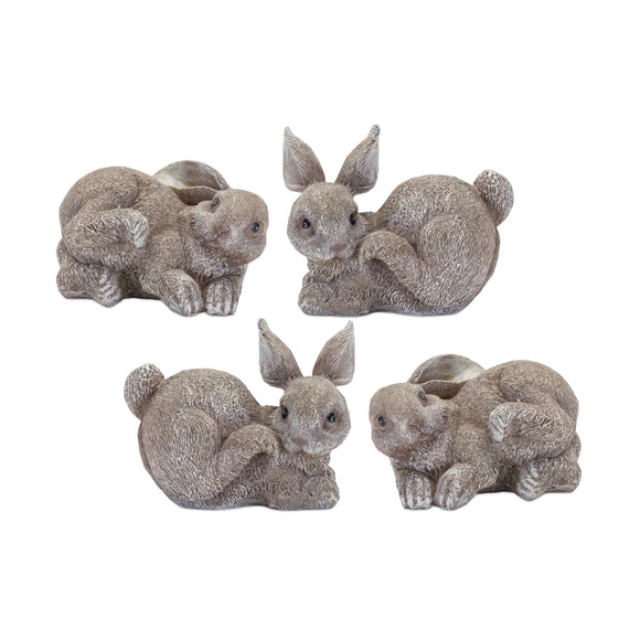 Bunny (Set of 4) 3