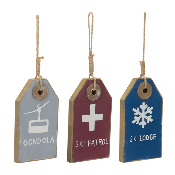 Ski Tag Ornament (Set of 12) 11