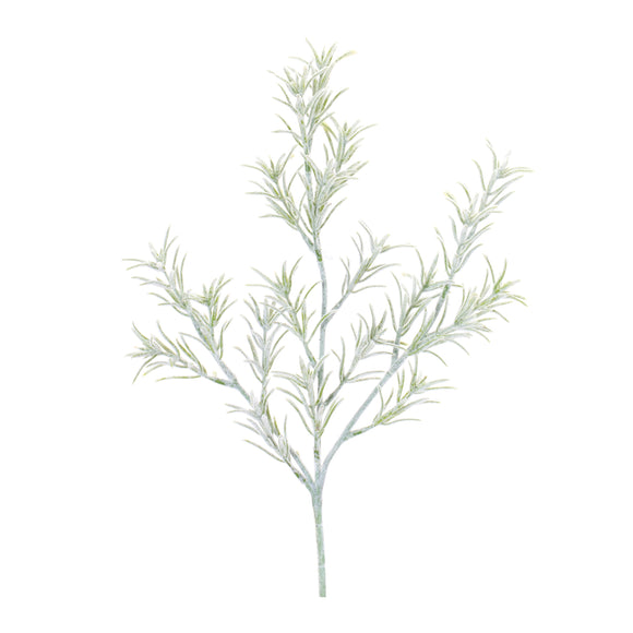 Rosemary Spray (Set of 6) 20.5