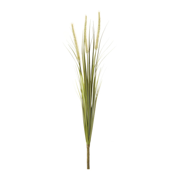 Foxtail Bush (Set of 6) 28