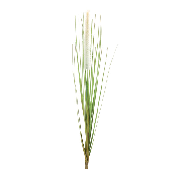 Foxtail Bush (Set of 12) 20