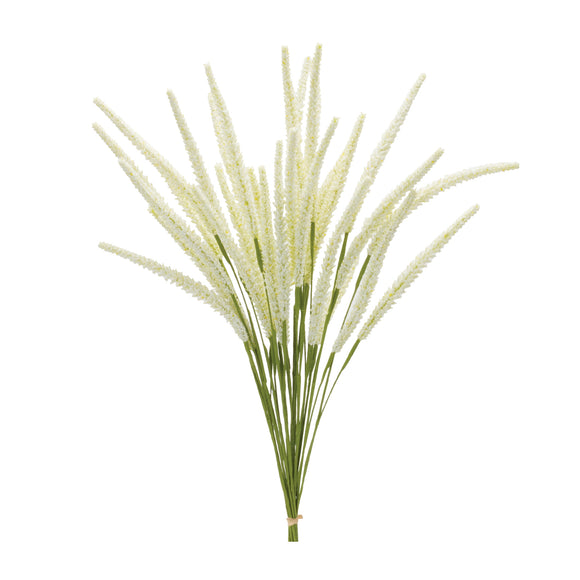 Foxtail Bundle (Set of 6) 22
