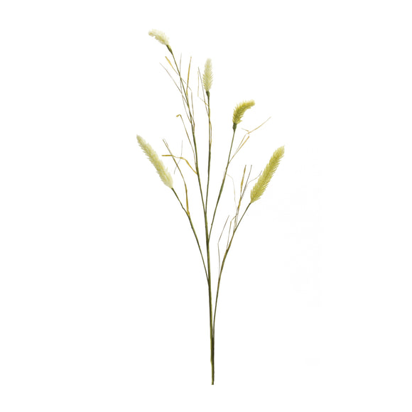 Foxtail Spray (Set of 6) 33.5