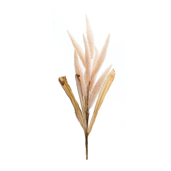 Foxtail Stem (Set of 2) 35.5