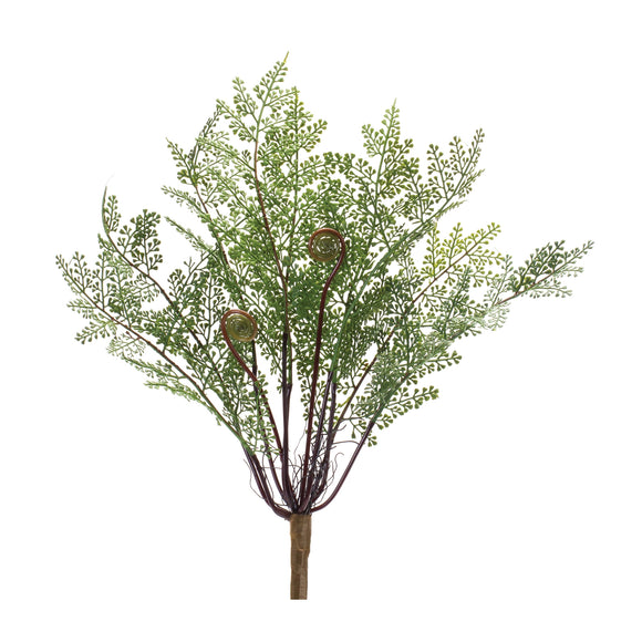 Fern Bush (Set of 2) 13