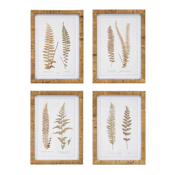 Framed Fern Print (Set of 4) 17.75