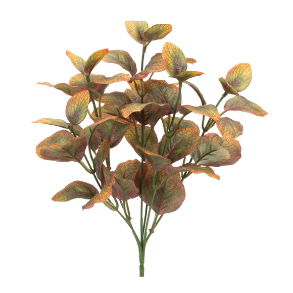 Foliage Plant (Set of 6) 12
