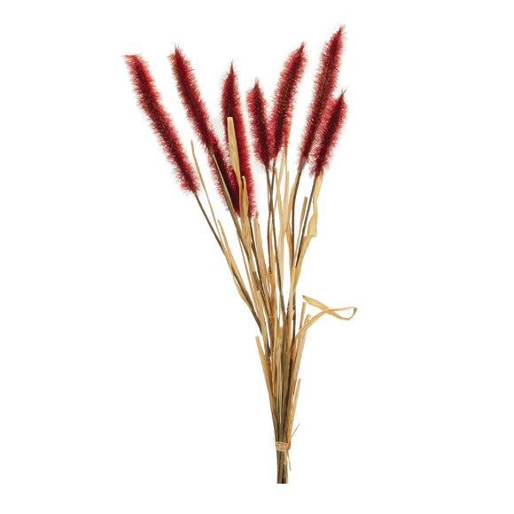 Foxtail Bundle (Set of 6) 23
