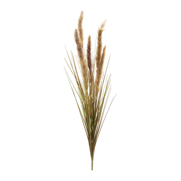 Foxtail Bush (Set of 6) 40