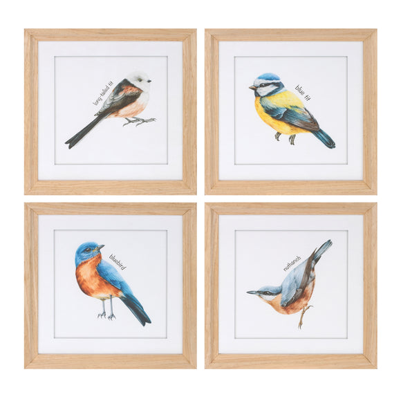 Framed Bird Print (Set of 8) 9.75