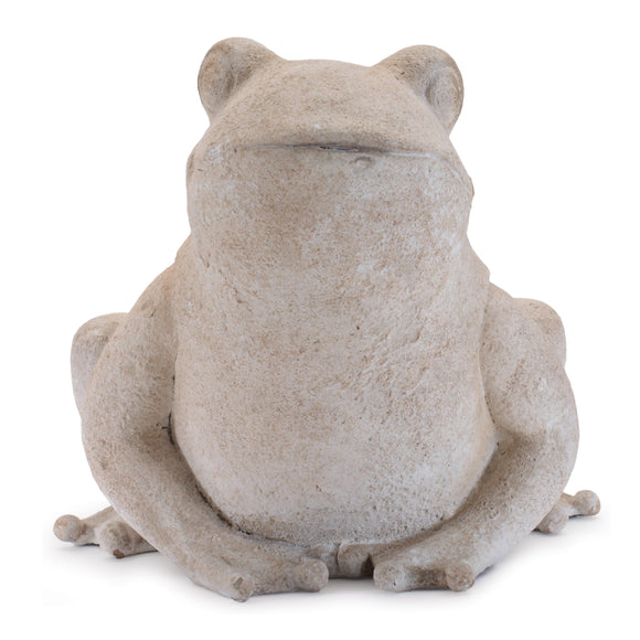 Frog 6