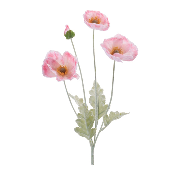 Poppy Spray (Set of 6) 25