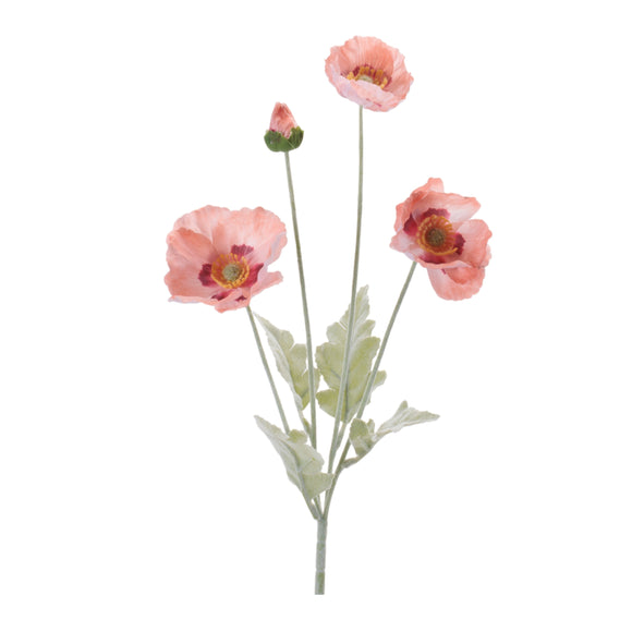 Poppy Spray (Set of 6) 25