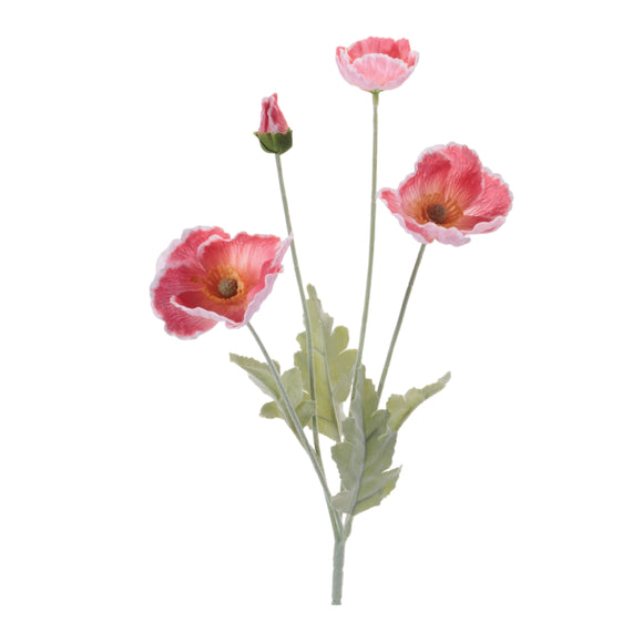 Poppy Spray (Set of 6) 25