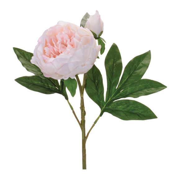 Peony Spray (Set of 6) 24