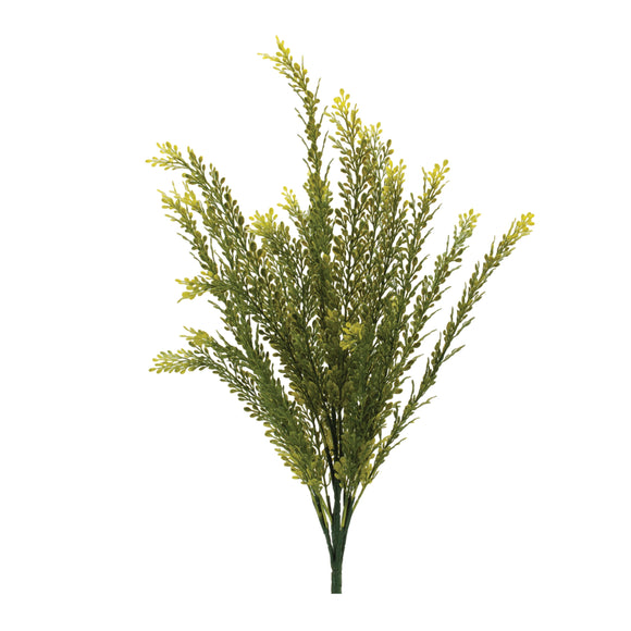 Baby Tears Bush (Set of 6) 23