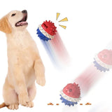 Multi-Functional Pet Vocal Dog Toy Squeaking, Leaking Food, Teeth Grinding, Bounce
