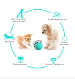 Portable Pet Chew Toy Tumbler, Puzzle Slow Food Leakage Ball, Cat Dog Food Dispenser Slow Feeder