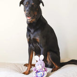 Ropers Flat Sport Bunny Crinkle Plush Dog Toy