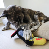 Ruffian Bird Toucan Squeaky Plush Dog Toy