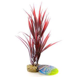 [Pack of 4] - Blue Ribbon Sword Plant with Gravel Base - Red 10" Tall